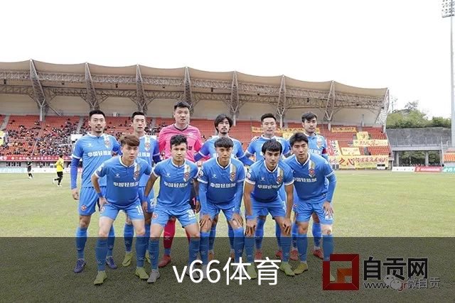 关于v66体育